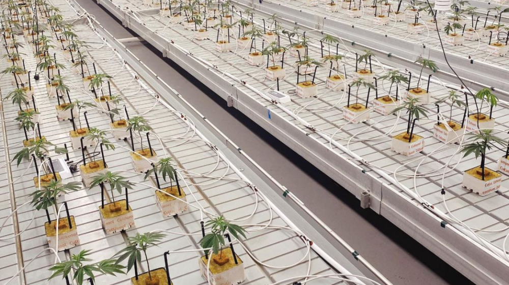 water-ec-ph-distribution