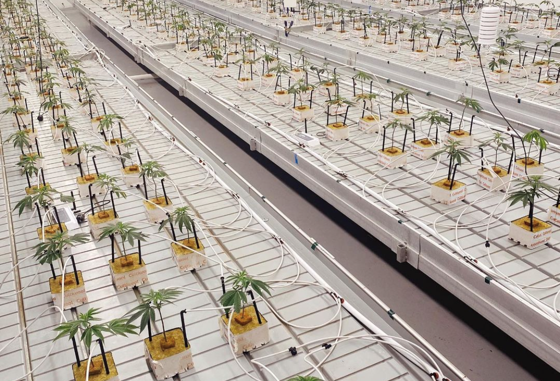 water-ec-ph-distribution